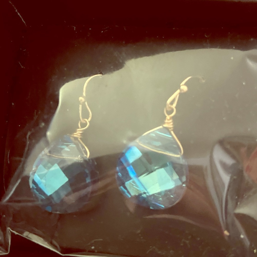 Shimmering Teardrop Earrings